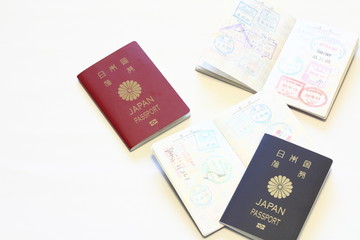 パスポートとパスポートの査証