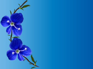 Fototapeta na wymiar two small blue flower illustration
