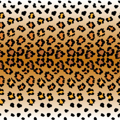 Leopard pattern