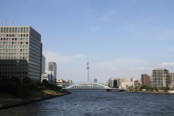 Obraz premium 中央大橋から見た東京スカイツリー