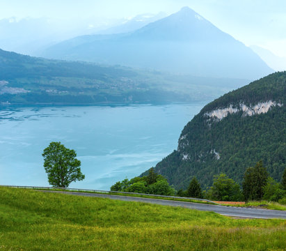 Lake Brienz summer top view (Switzerland).