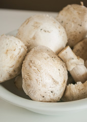 Heap of champignon mushrooms. Isolated on white background