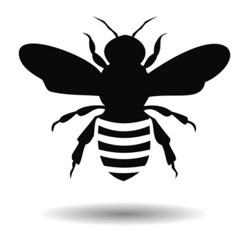 Black Bee Silhouette isolated on white background - illustration