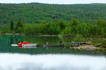 Summer fjord coast landscape (Norway).
