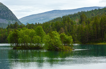 Summer fjord coast landscape (Norway).