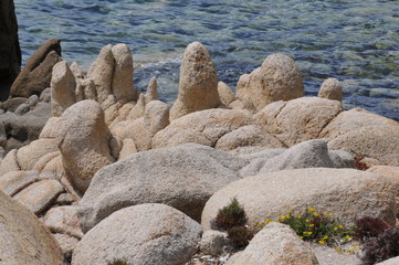 CAPU DI MURU - Calu Orzo (Corsica)