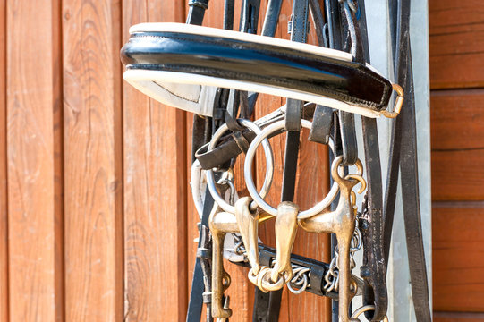 Horse bridle hanging on stable wooden door. Closeup outdoors.