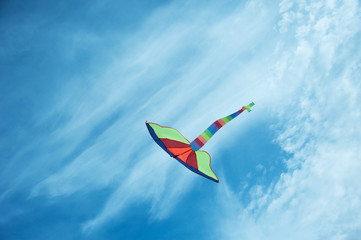 kite flying in the sky