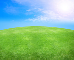 grass and sky