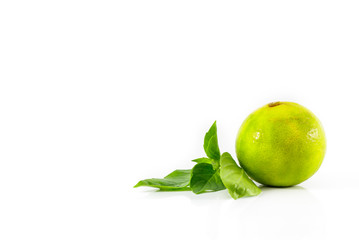 limes on white background