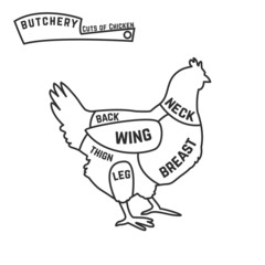 Fototapeta na wymiar Cuts of chicken butcher diagram