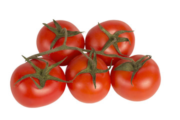 Tomatoes on a branch on a white background