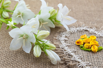 Fototapeta na wymiar White flowers Campanula lie on the heart of coarse cloth