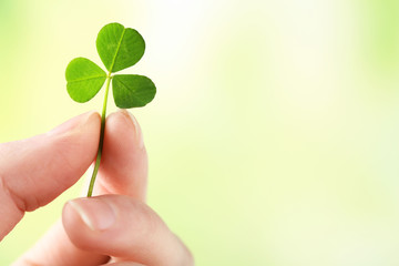 Female hand holding green clover leaf on nature background