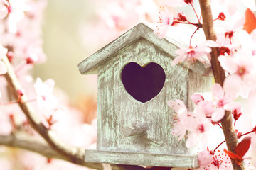 Decorative nesting box on bright background
