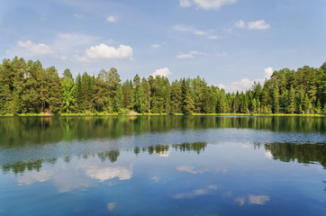 Fototapeta na wymiar Lake in wood