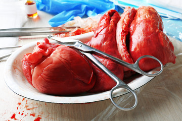 Heart organ in medical metal tray with tools on table, closeup