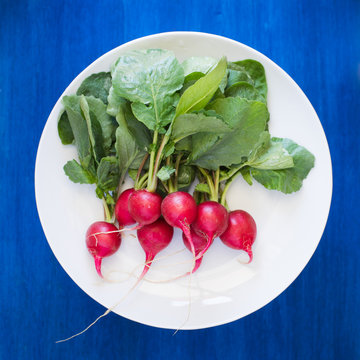 Radish with Leaves on White Plate