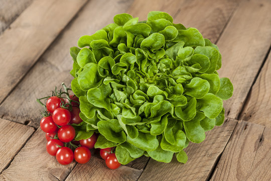 Wurzelsalat Salanova