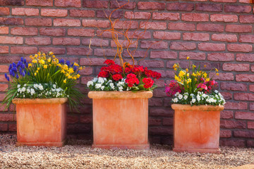 Fototapeta na wymiar Three vases of blossom flowers in the botanical garden of Essen