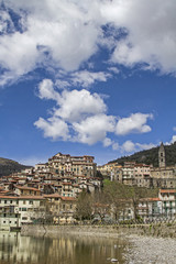 Fototapeta premium Pigna