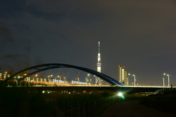 Naklejka premium スカイツリーの夜景