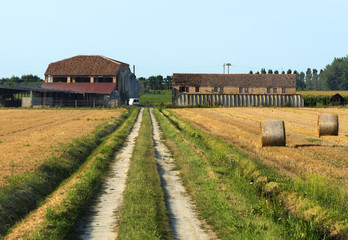 Country landscape near Ferrara (Italy)