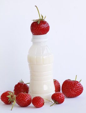 fragole