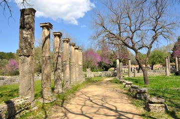 Olympie - Palestre