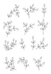 Branches with leaves.