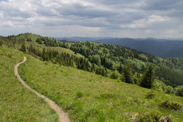 Fototapeta na wymiar path in green summer mountains with white clouds blue sky