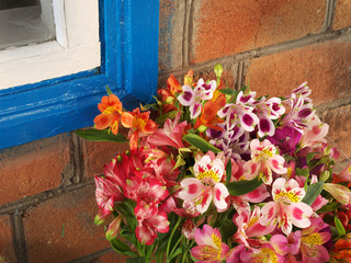 bouquet of flowers Alstroemeria near the wall at home