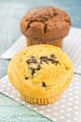 Chocolate and vanilla muffins