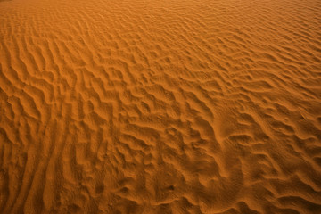 Texture of yellow sand.