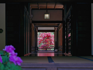 奈良　長谷寺本坊の床もみじ