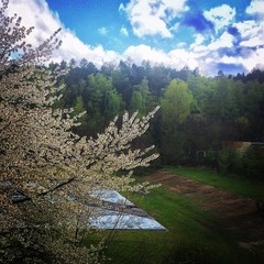 spring 