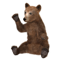 Brown Bear Cub © photosvac