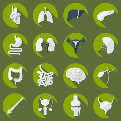 Flat concept, set modern design with shadow human organs 