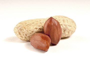 Dried peanuts in closeup