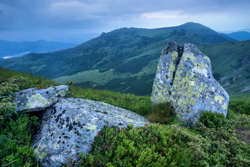 Mountain valley in mist. Natural landscape
