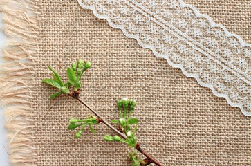 burlap material tablecloth background with spring twig lace
