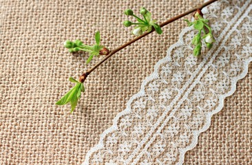 soft background with lace and spring tree branch
