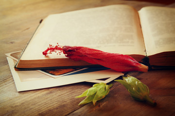 top view of vintage open book and dry red flower