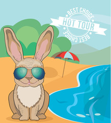Cartoon rabbit wearing aviator sunglasses sunning on the beach