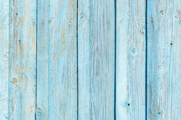 Obraz premium Texture of old wooden fence with cracked blue paint