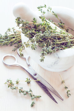 Dried herbs thyme