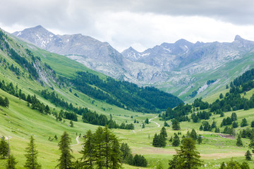 Vallon du Lauzanier, Mercantour National Park, France © Richard Semik