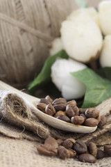 coffee beans in wooden spoon