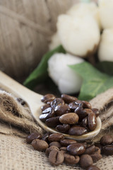 coffee beans in wooden spoon
