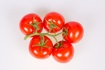 Tomatoes on a branch